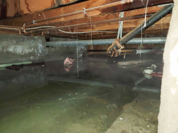 Best 24-hour water damage restoration  in Walnut, IL