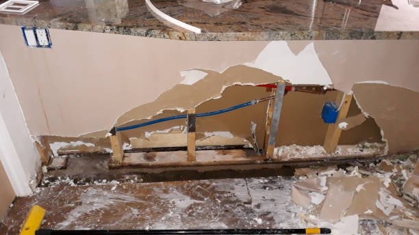 Best Flood damage cleanup  in Walnut, IL
