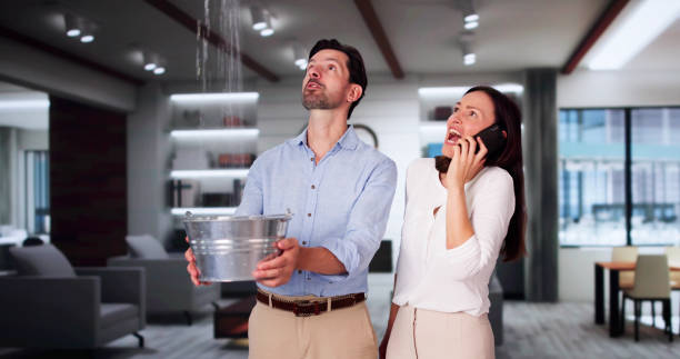 Best Ceiling water damage repair  in Walnut, IL